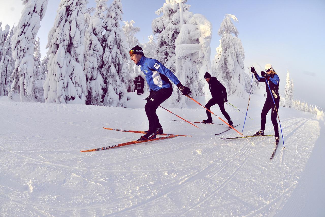 Vuokatti Sport Chalets Dış mekan fotoğraf