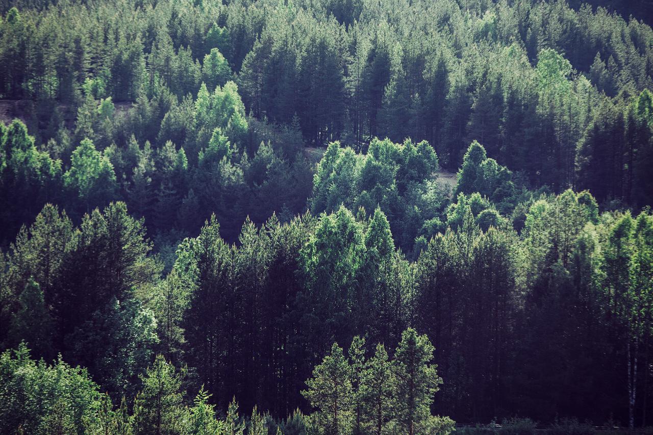 Vuokatti Sport Chalets Dış mekan fotoğraf