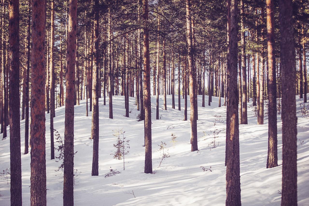 Vuokatti Sport Chalets Dış mekan fotoğraf